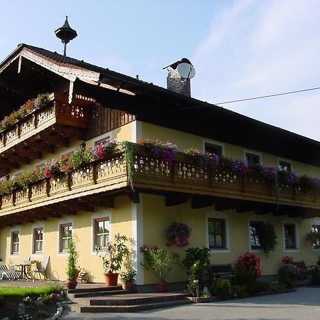 Gaestehaus Steinerhof Зальцбург Экстерьер фото